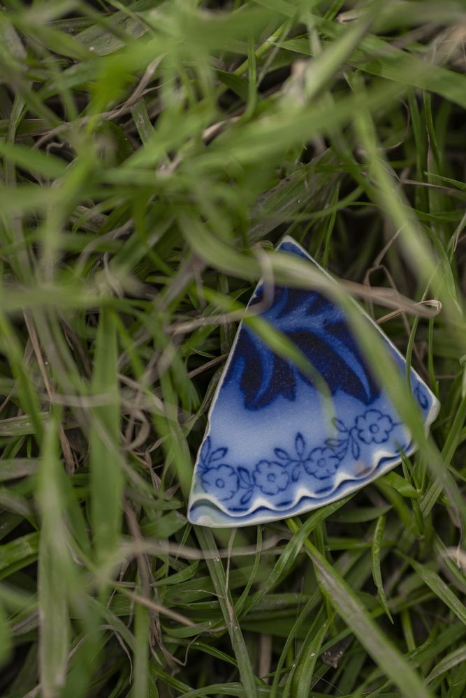 Фотография автора Доляна Горохова