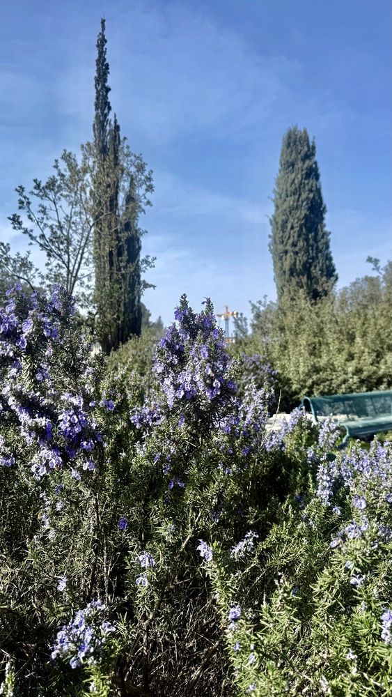 Photograph by Olga Berlyand