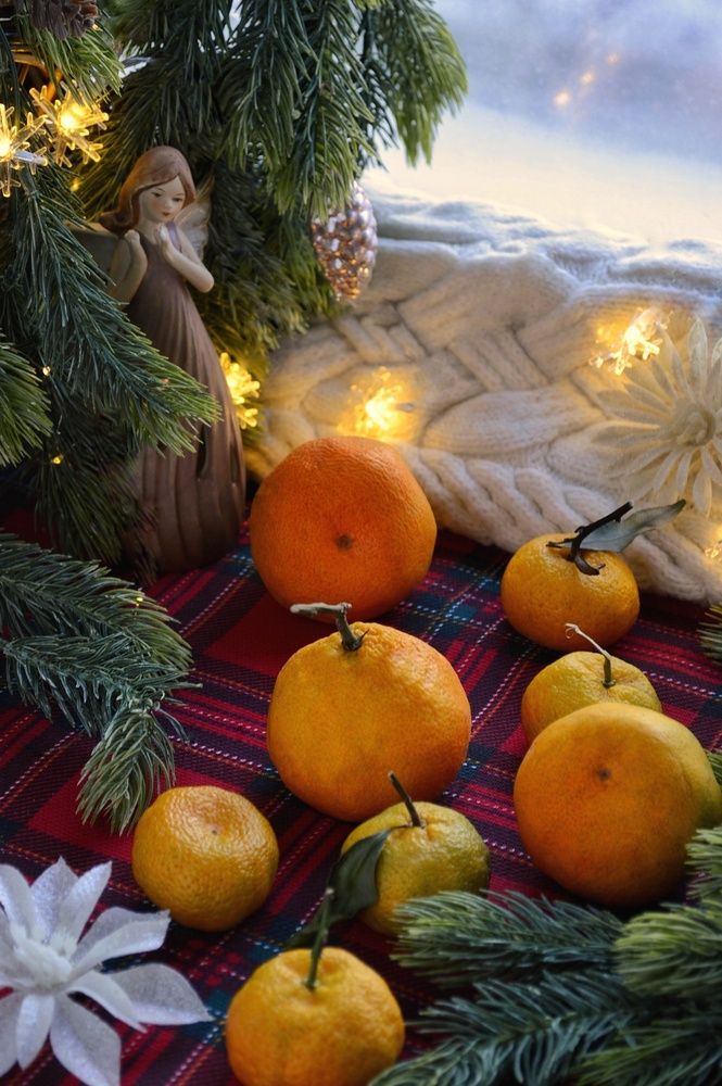 Фотография автора Оксана Шенина