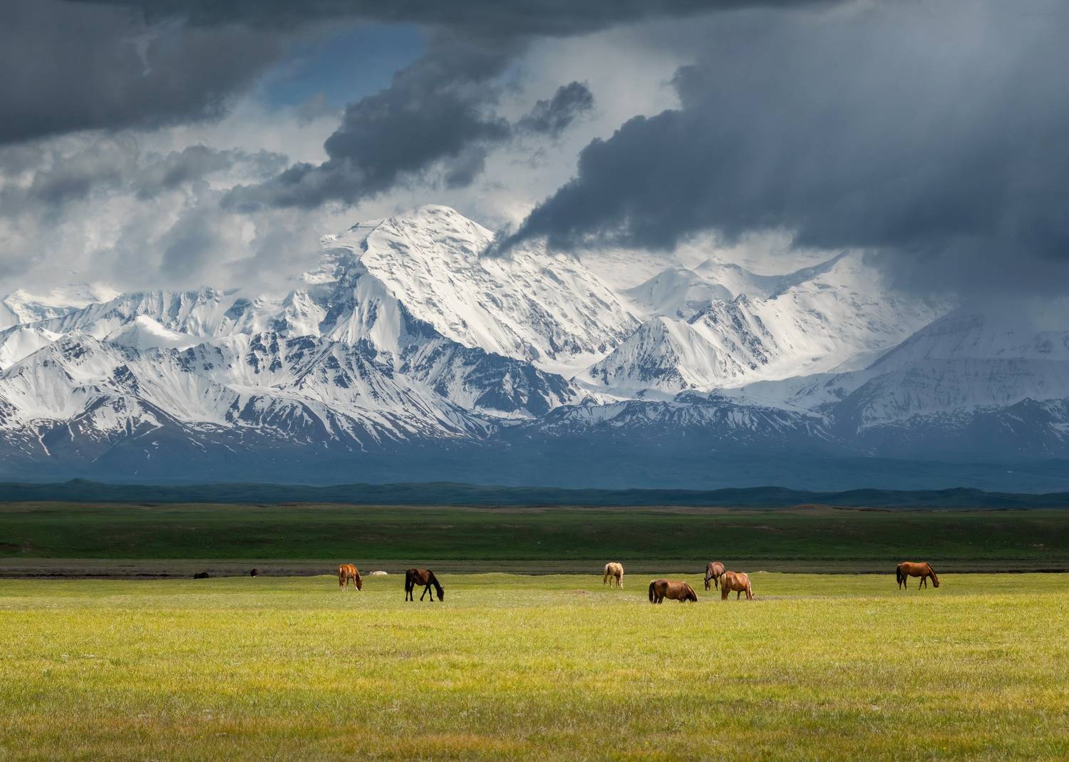 Фотография #13163429