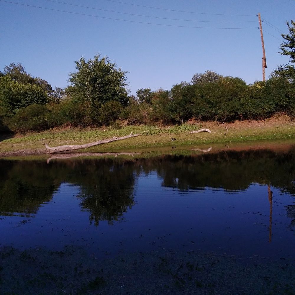 Photograph by Васильева Львовна