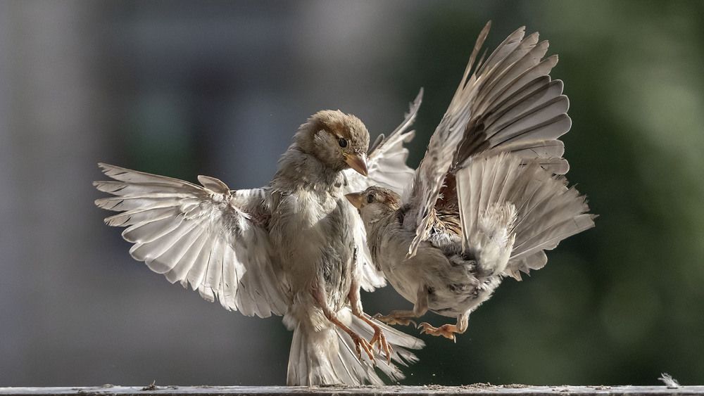 Photograph by Олег Борисович