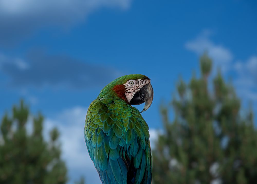 Photograph by Alena Redko