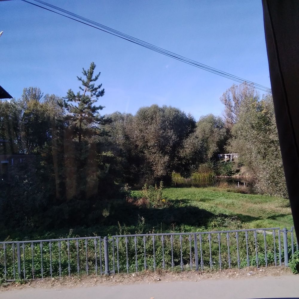 Photograph by Васильева Львовна