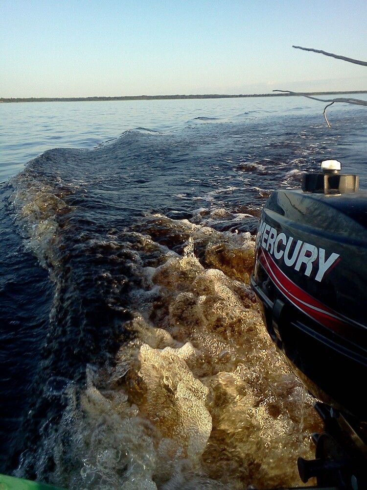 Photograph by карякина мария