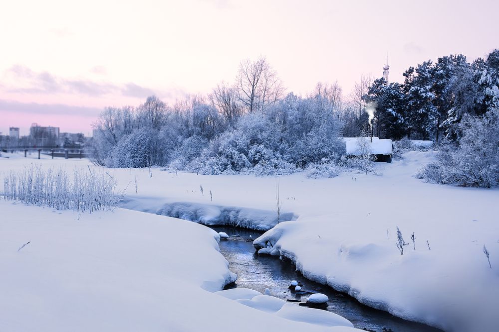 Фотография автора Елена Разина