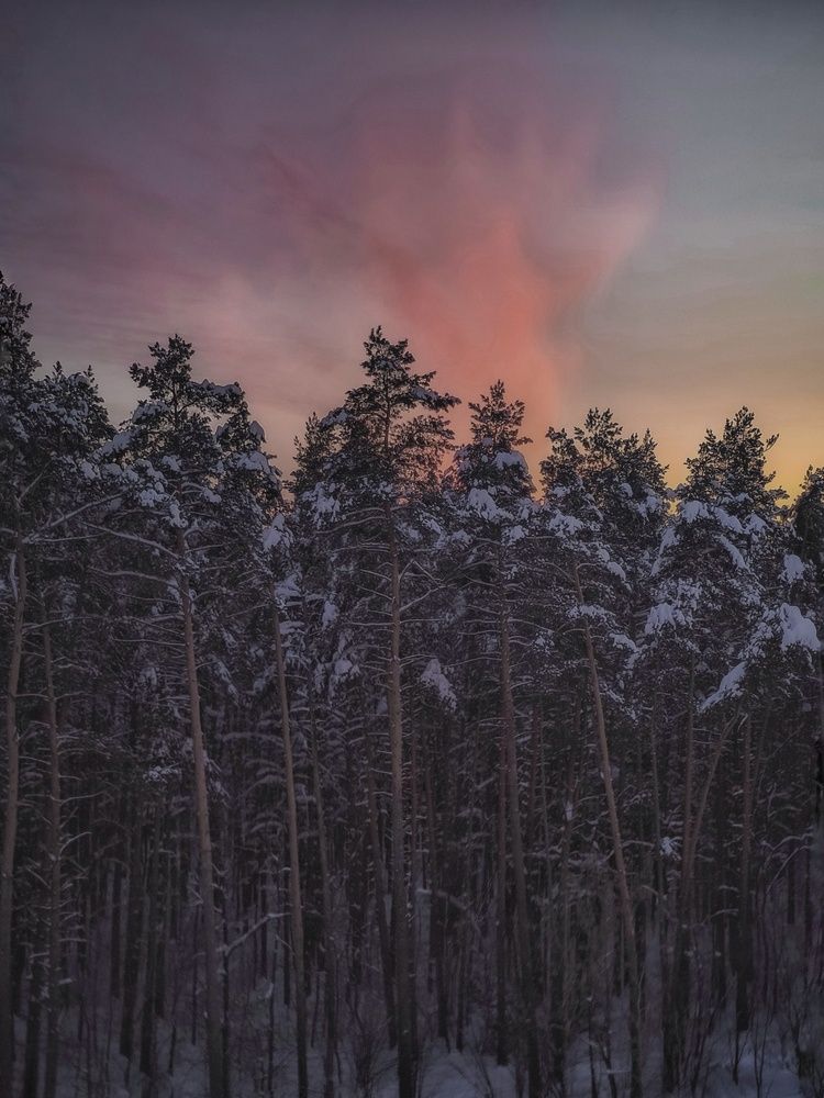 Фотография автора Олеся Хижко
