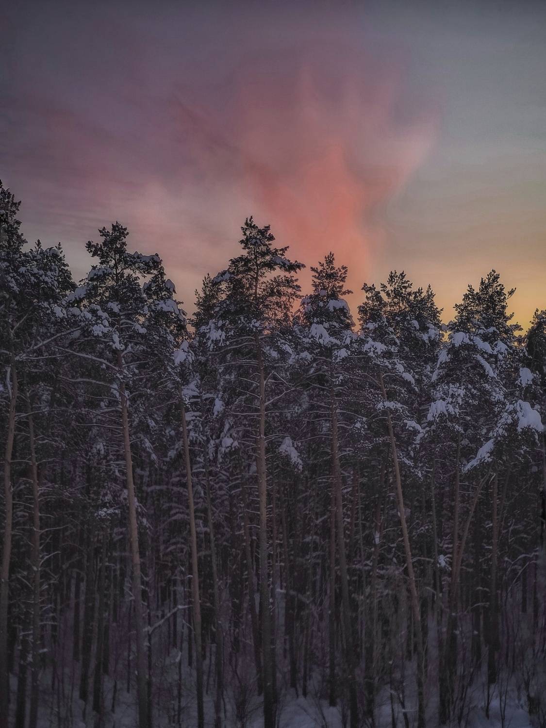 Фотография #13163544