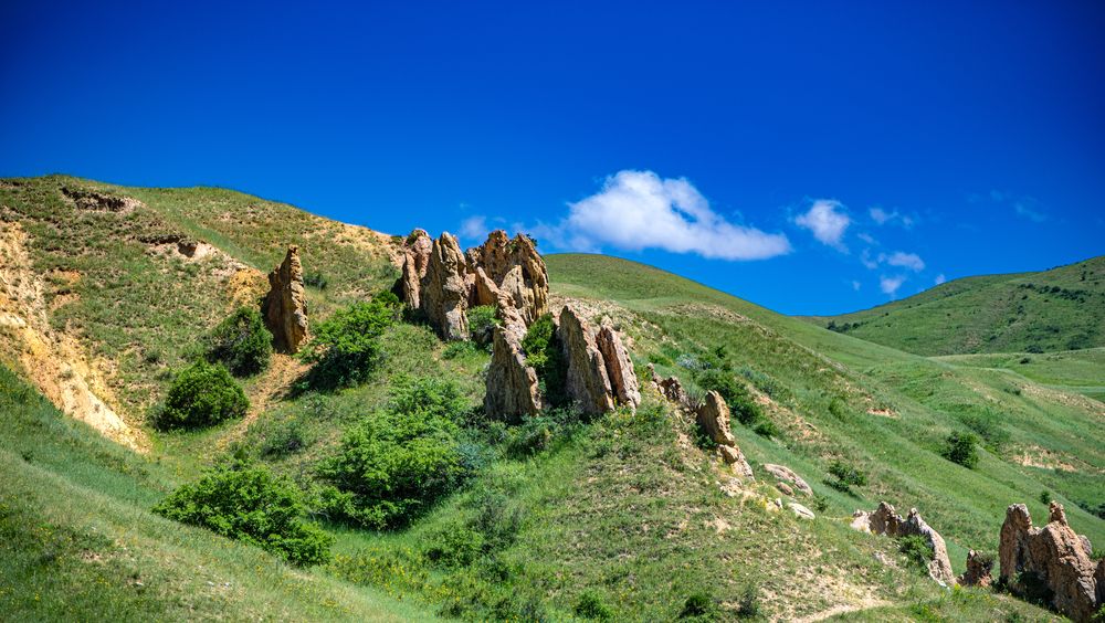 Photograph by Alena Redko