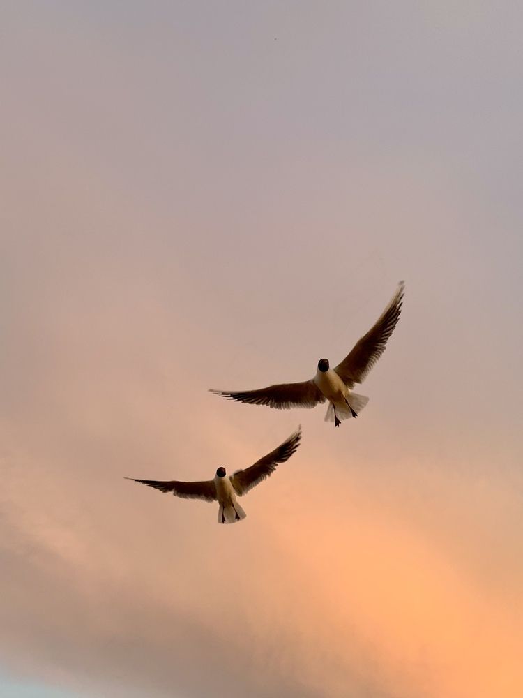 Photograph by Юлия Сидорова