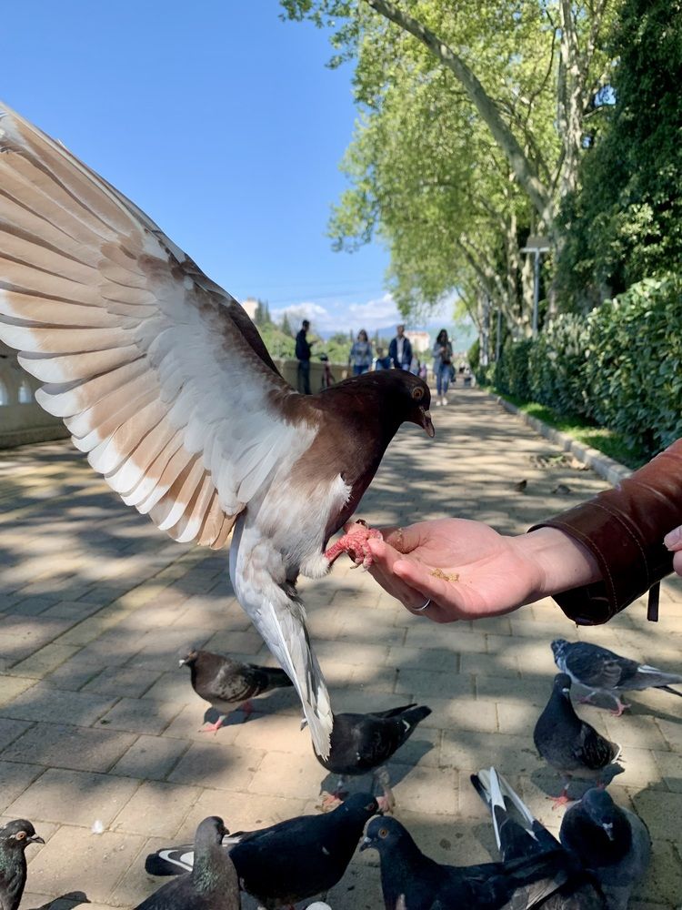 Photograph by Юлия Сидорова