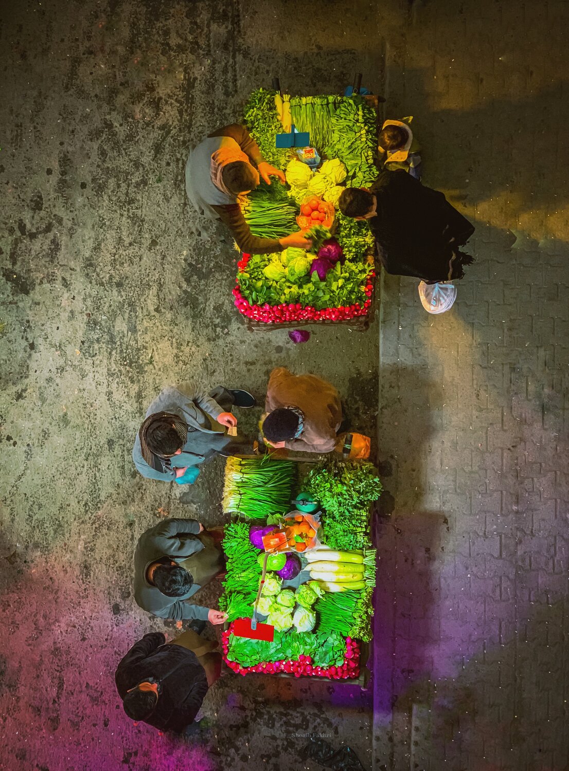 Photo #13163588