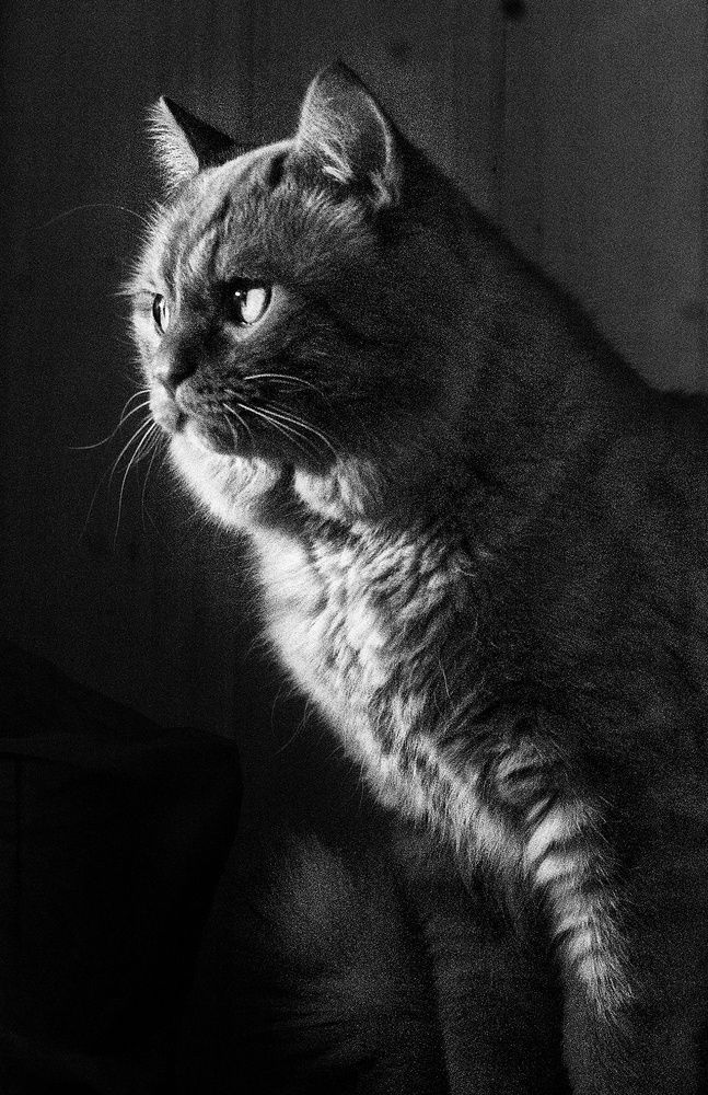 Photo #13163593