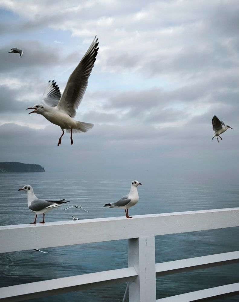 Фотография автора Татьяна Яцкевич