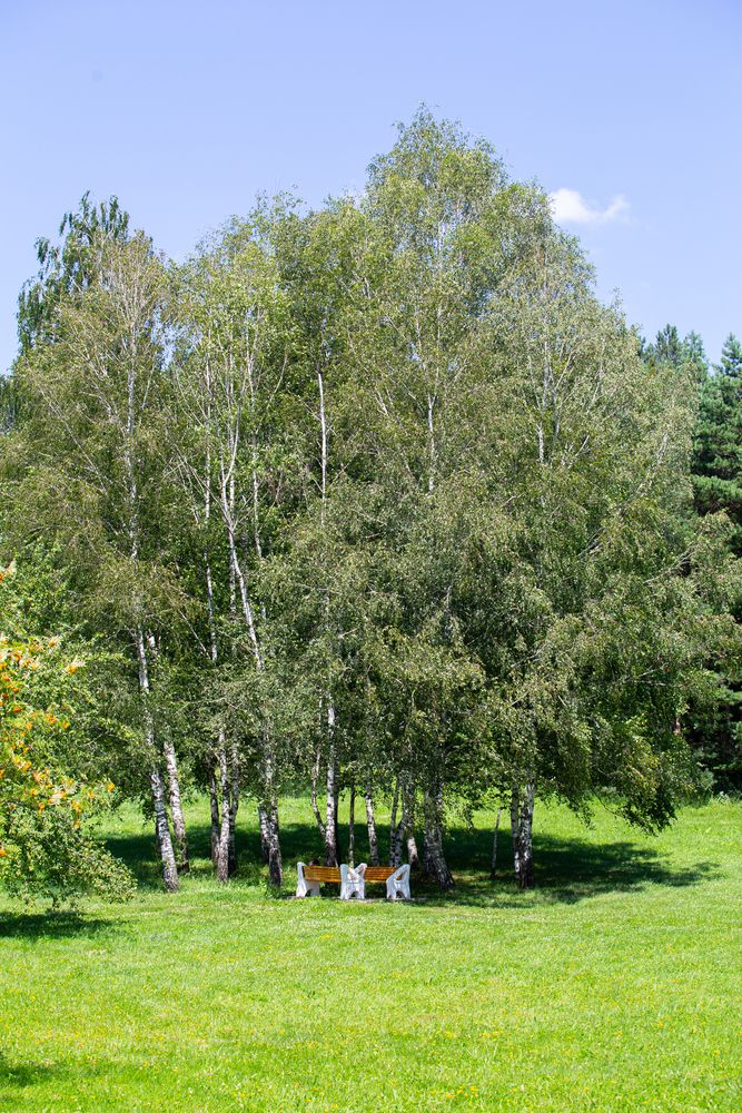 Фотография автора Виталий Са