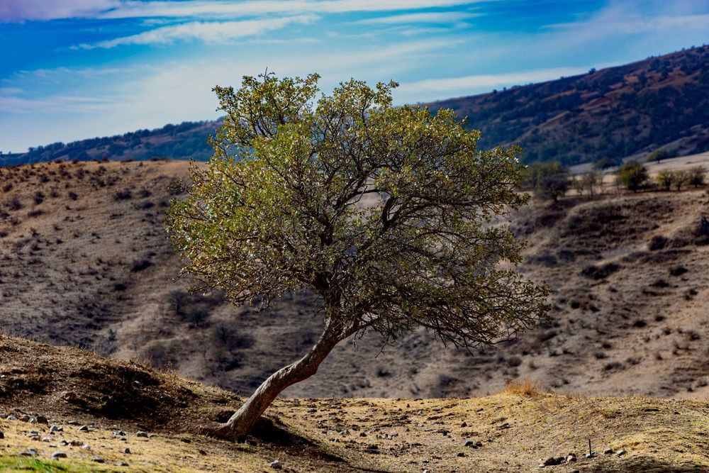 Photograph by Alena Redko