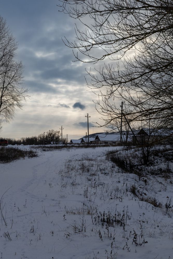 Фотография автора Светлана Поливанова