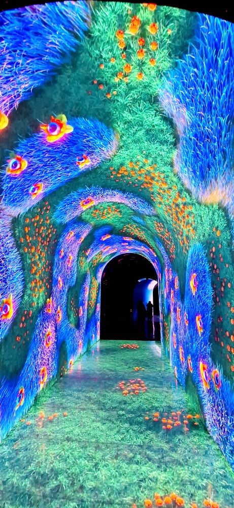 Photograph by Наталья Вялых