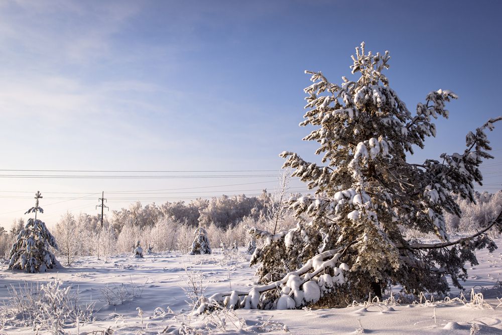Photograph by Алена Крымова