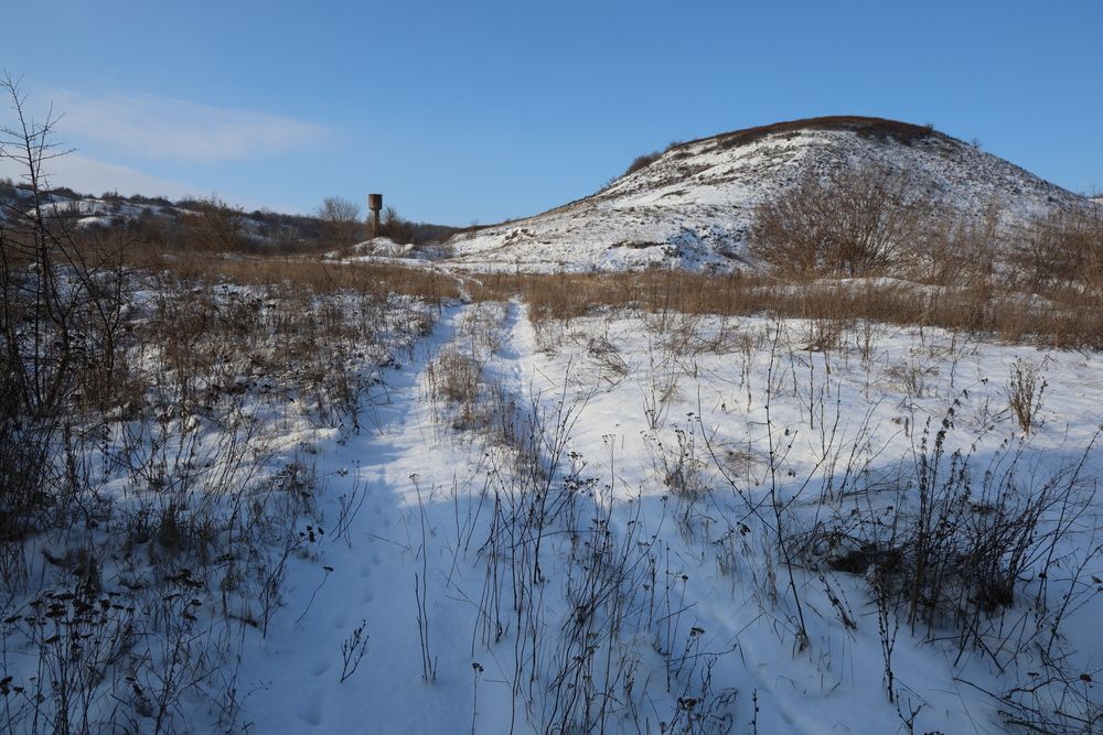 Фотография автора Светлана Поливанова
