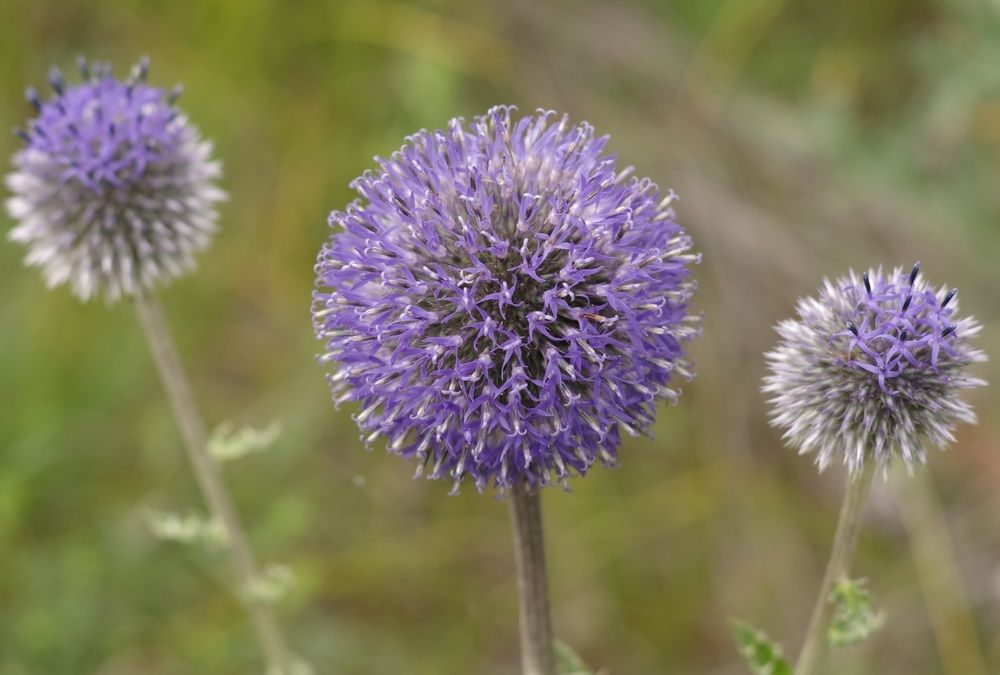 Photograph by Андрей Корытов