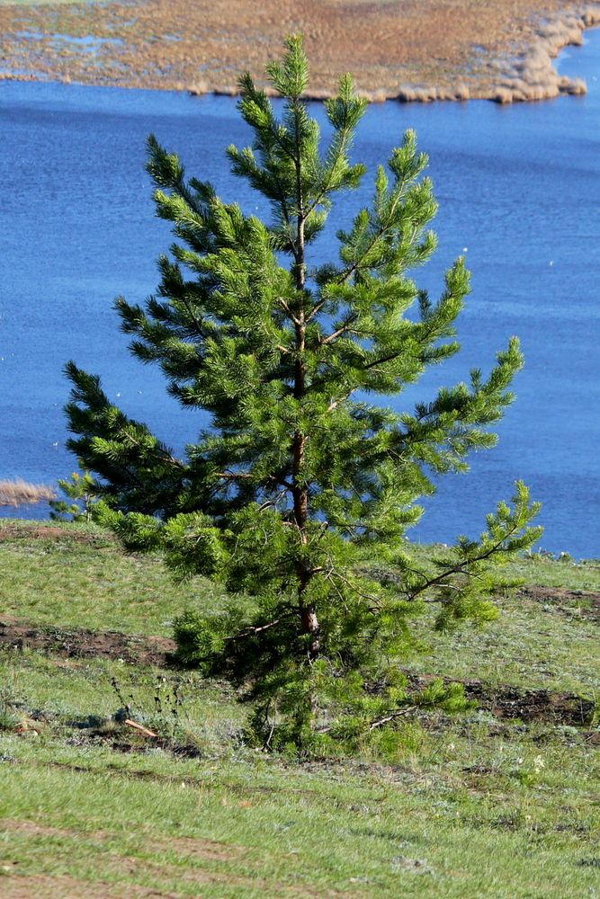 Фотография автора Александр Велигура