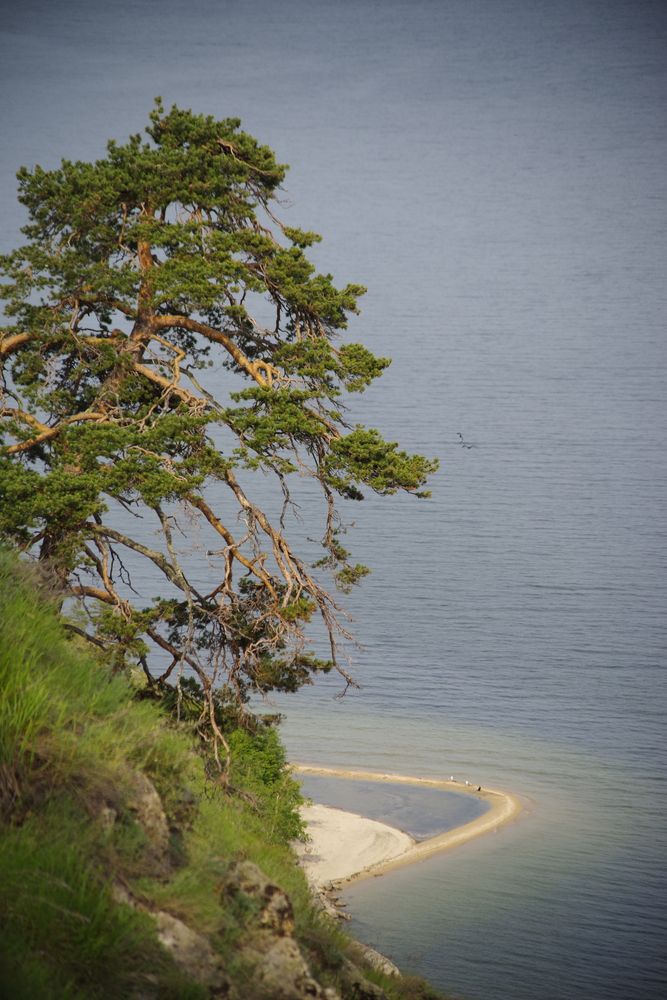 Photograph by Андрей Корытов