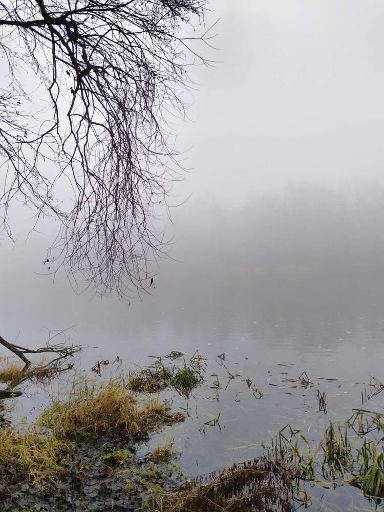 Фотография автора Татьяна Солтан