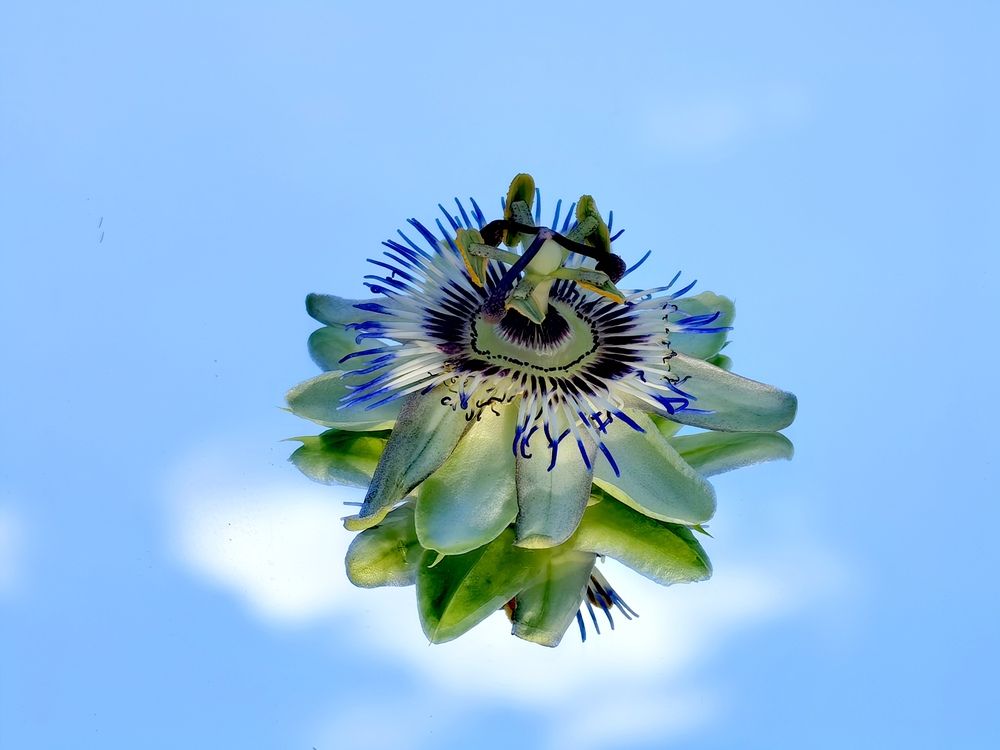 Photograph by Alen Brkić