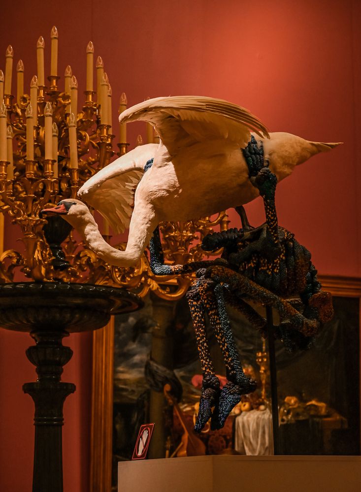 Фотография автора Александра