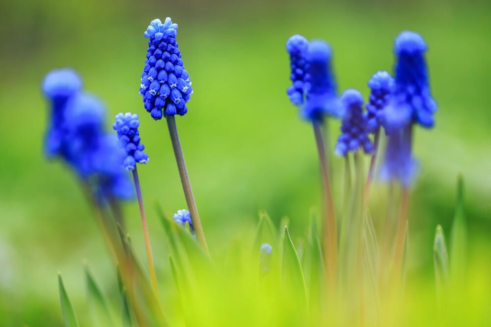 Photograph by Сергей Фомченков