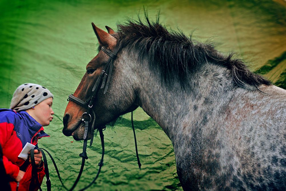 Фотография автора Анна Гаврилова