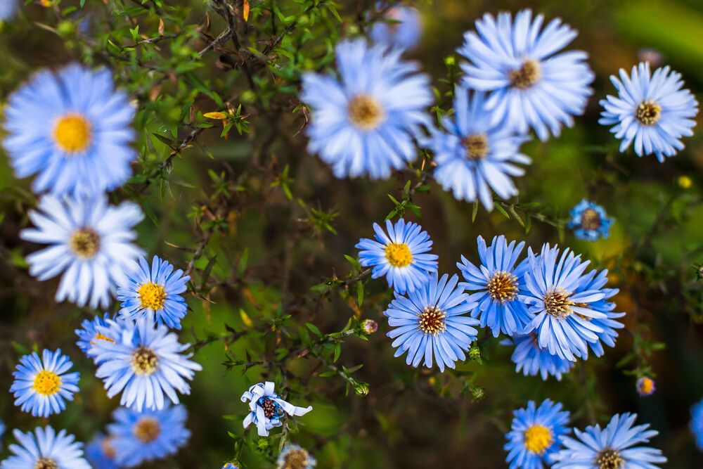 Photograph by Сергей Фомченков