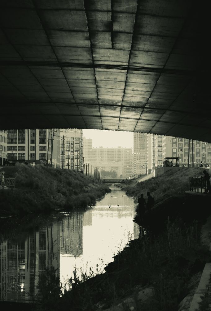 Photo #13163750