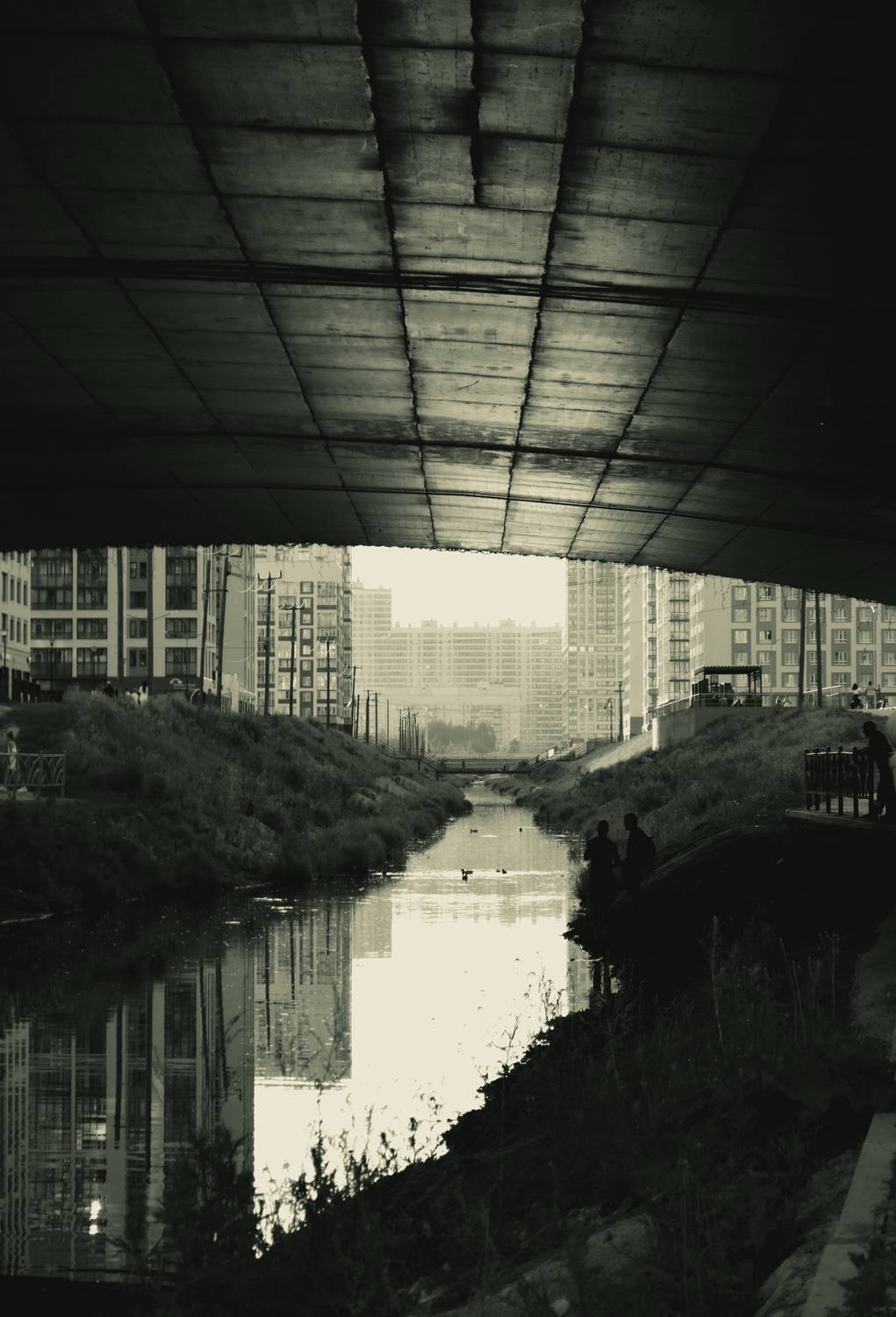 Photo #13163750