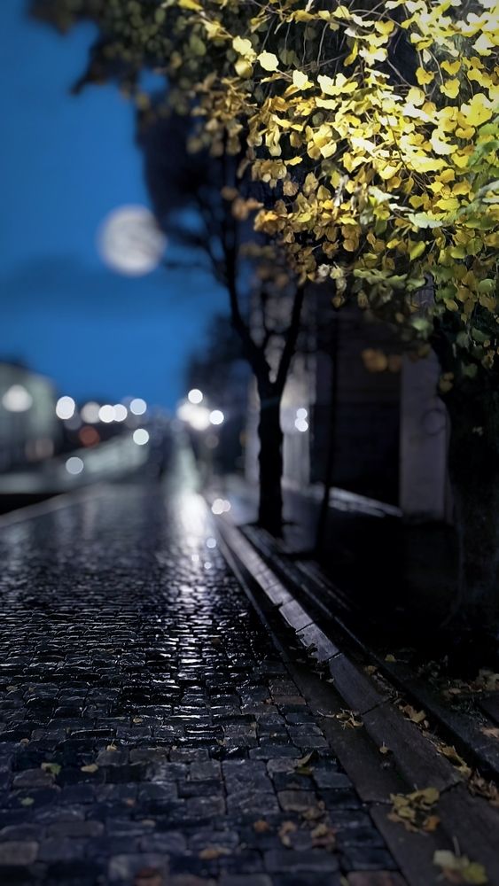 Photograph by Irina Prazdnikova