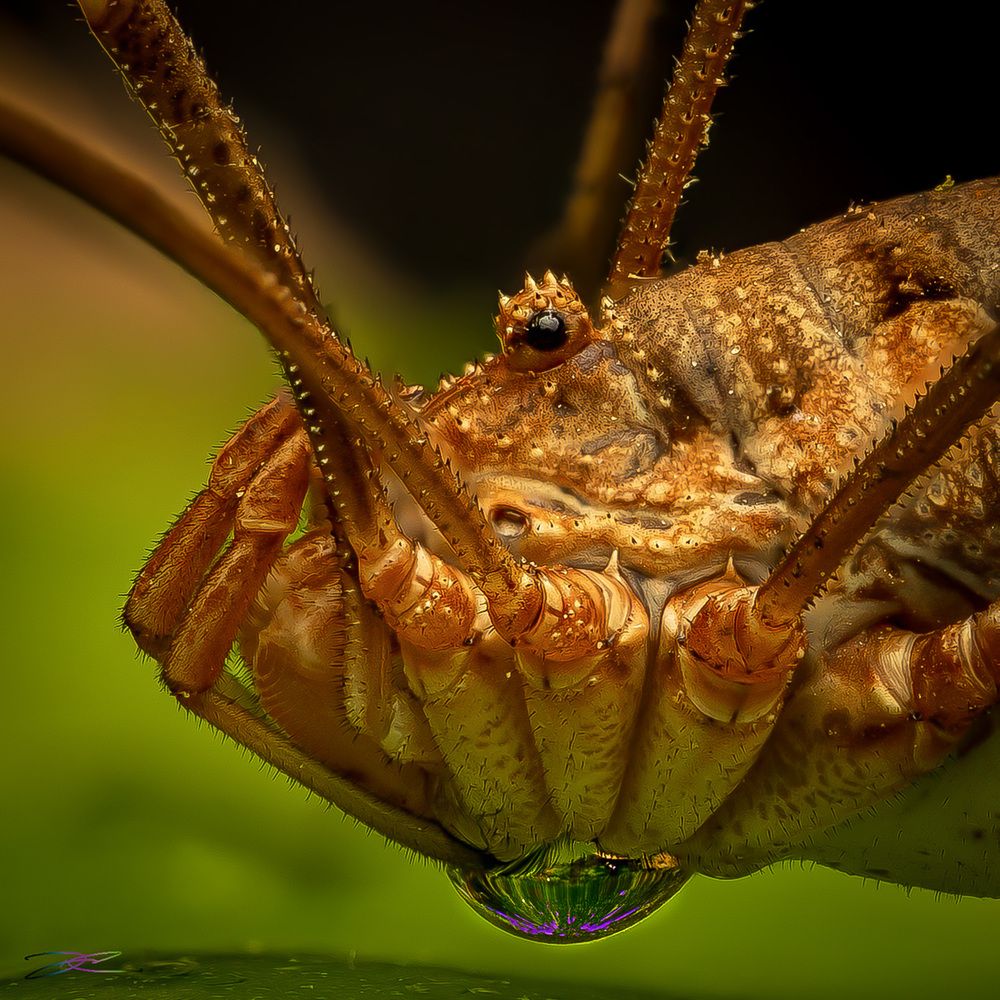 Photograph by Derek Moorse