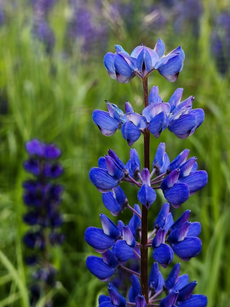 Photograph by Наталия