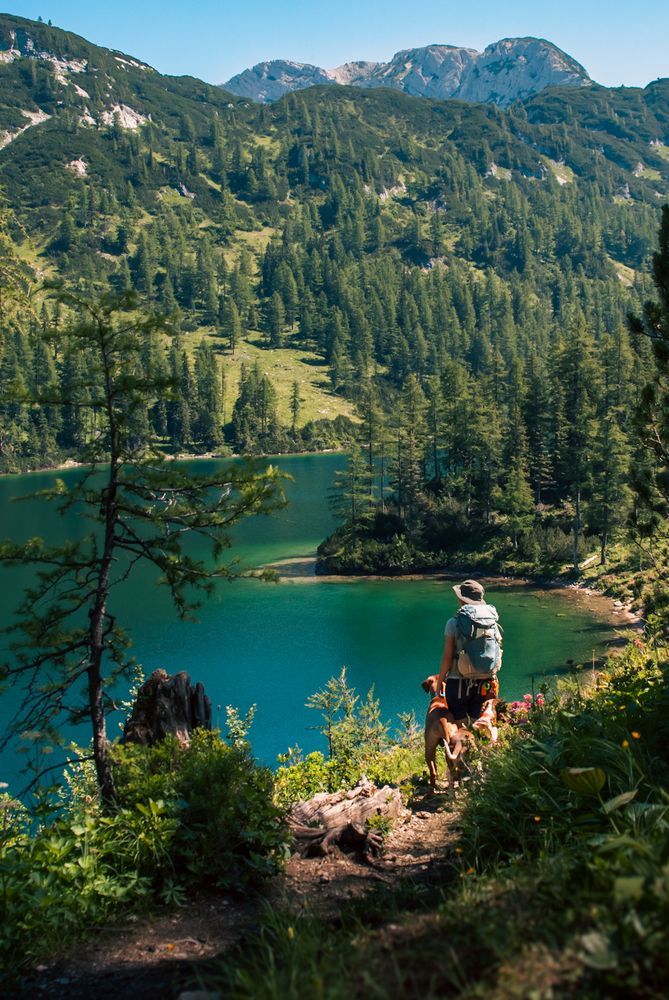 Photograph by Gergely Janovszky