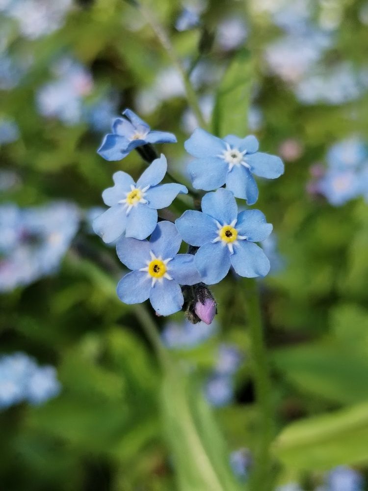 Photograph by Юлия Ю