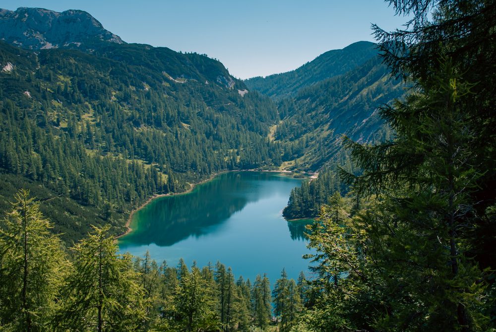 Photograph by Gergely Janovszky