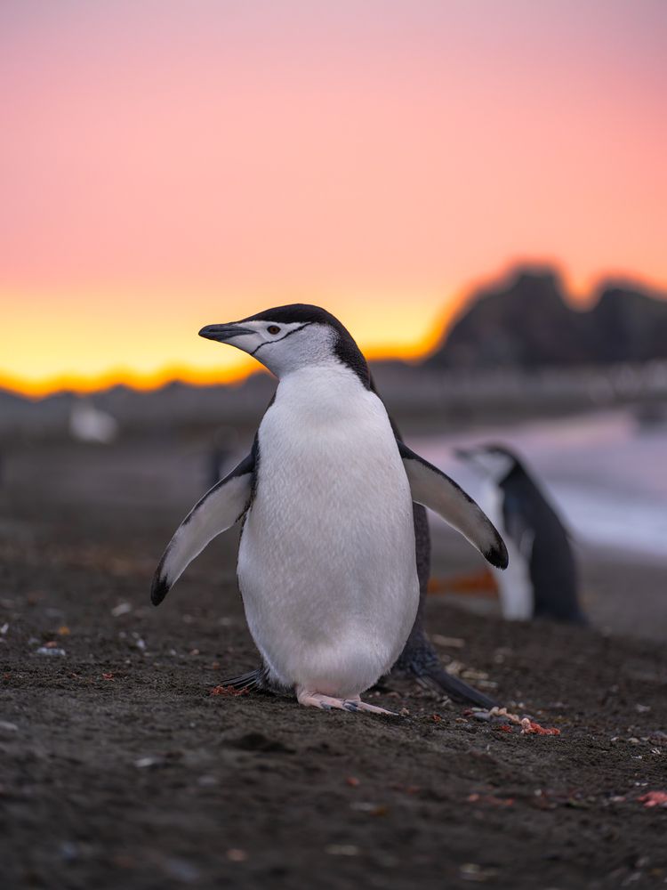 Photograph by Igor Galloway