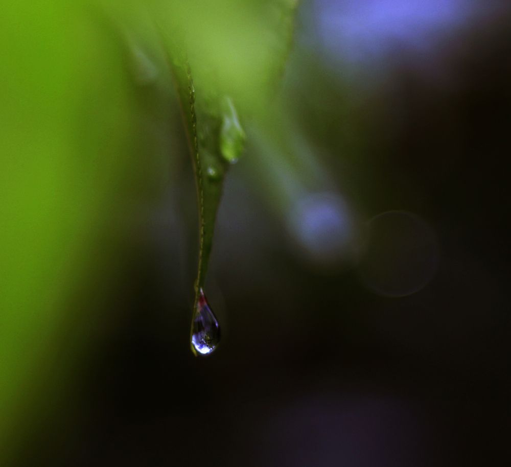 Фотография автора Павел Мартюшев