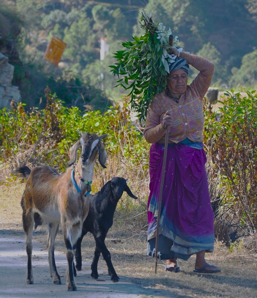 Shared Burden, Shared Bond