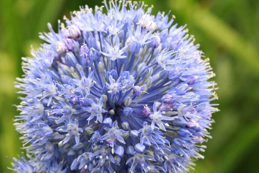 Фотография автора Павел Мартюшев