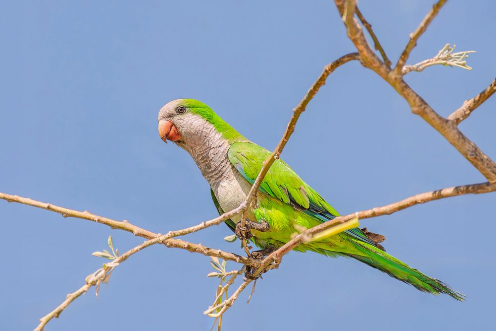 Photograph by Марина Ческис