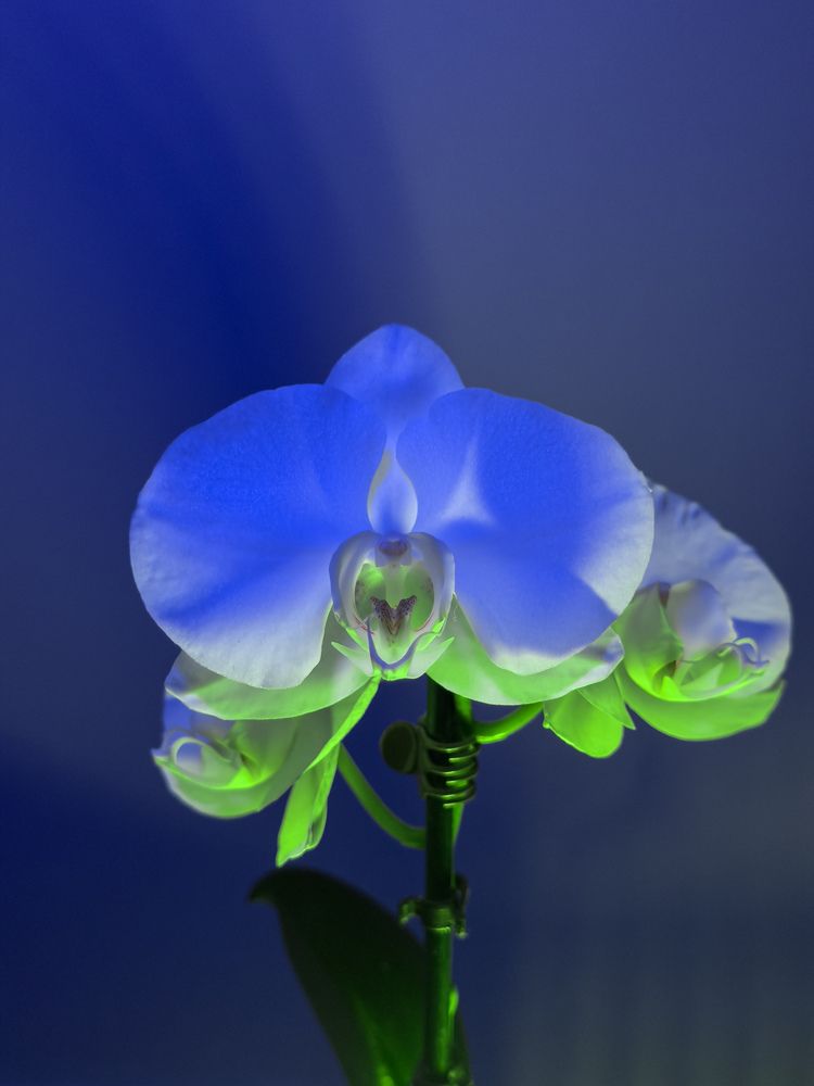 Фотография автора Марина Рябуха