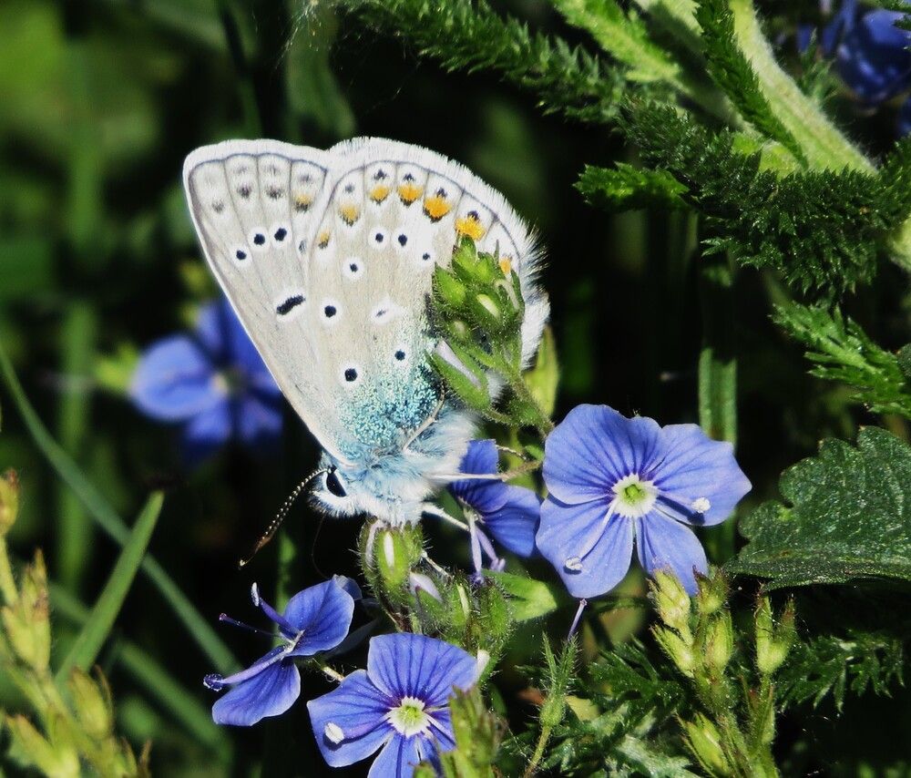Photograph by Лариса Басова
