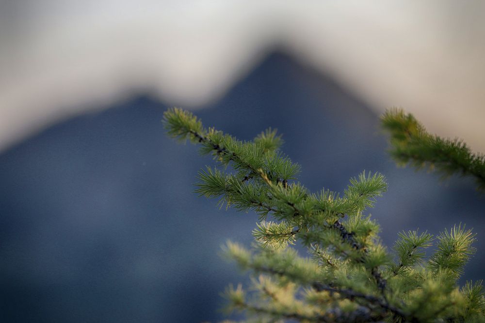 Фотография автора Павел Мартюшев