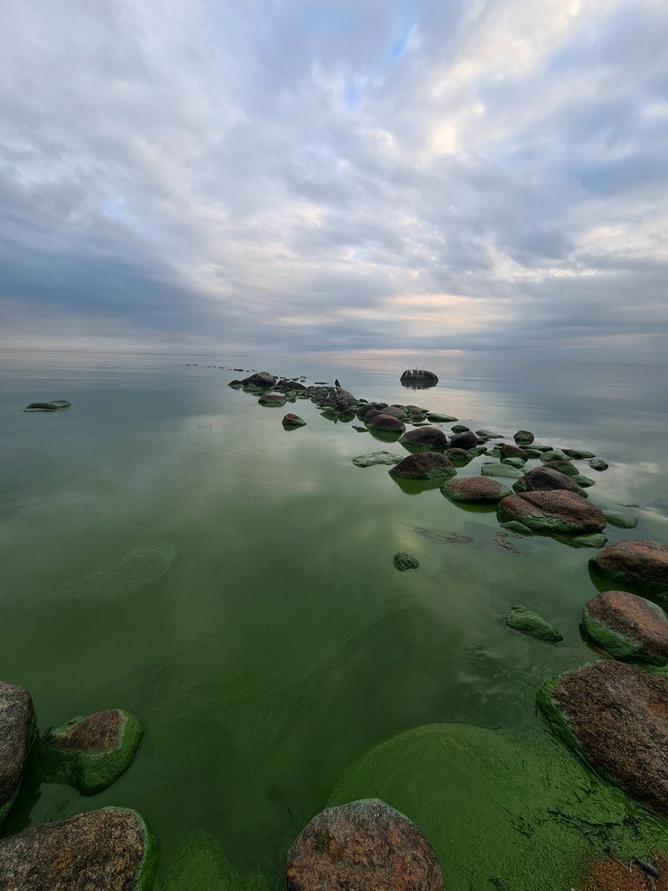 Photograph by Екатерина Важова
